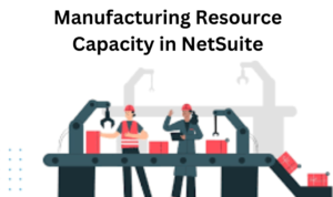 netsuite resource capacity