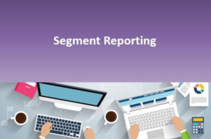 segment reporting graphic